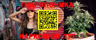 ГАЛЛЮЦИНОГЕННЫЕ ГРИБЫ Кинель