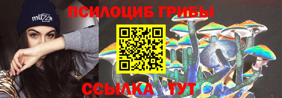 Коломна  Псилоцибиновые грибы мухоморы  Вход с VPN  Галлюциногенные грибы прущие грибы 